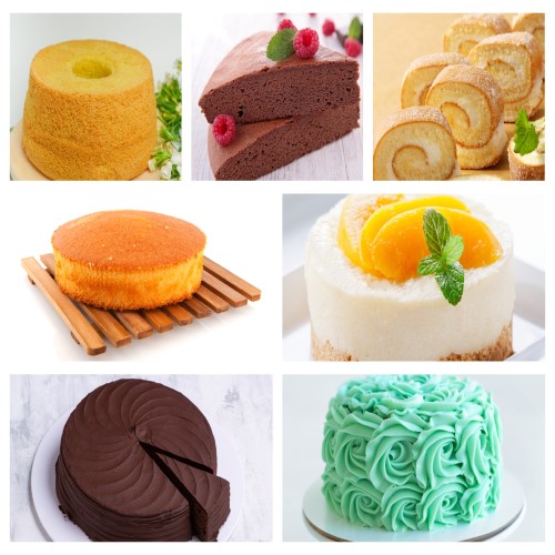 Bake Basic Cakes